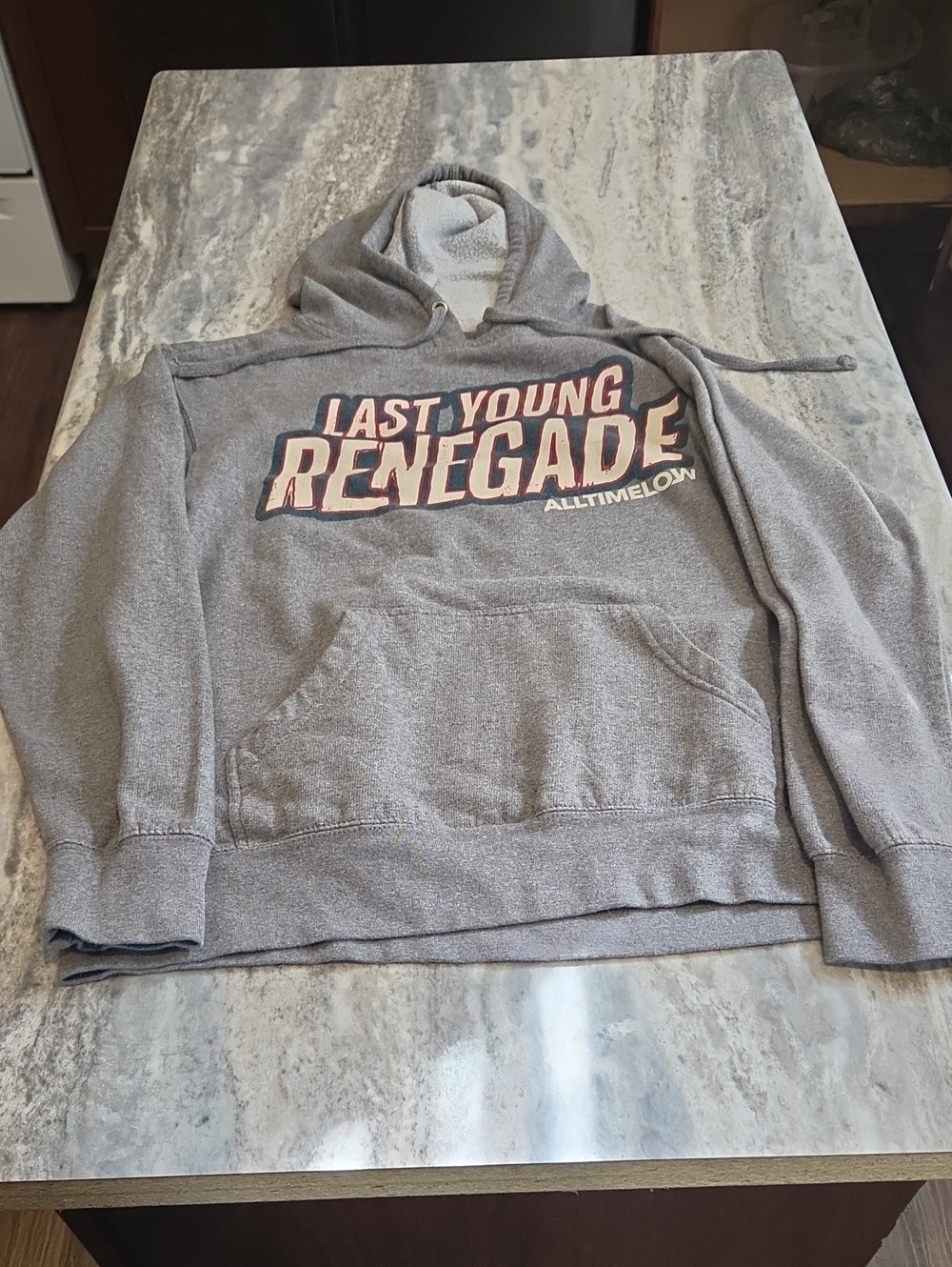AlltimeLow 'Last Young Renegade' Women's Gray Hoodie